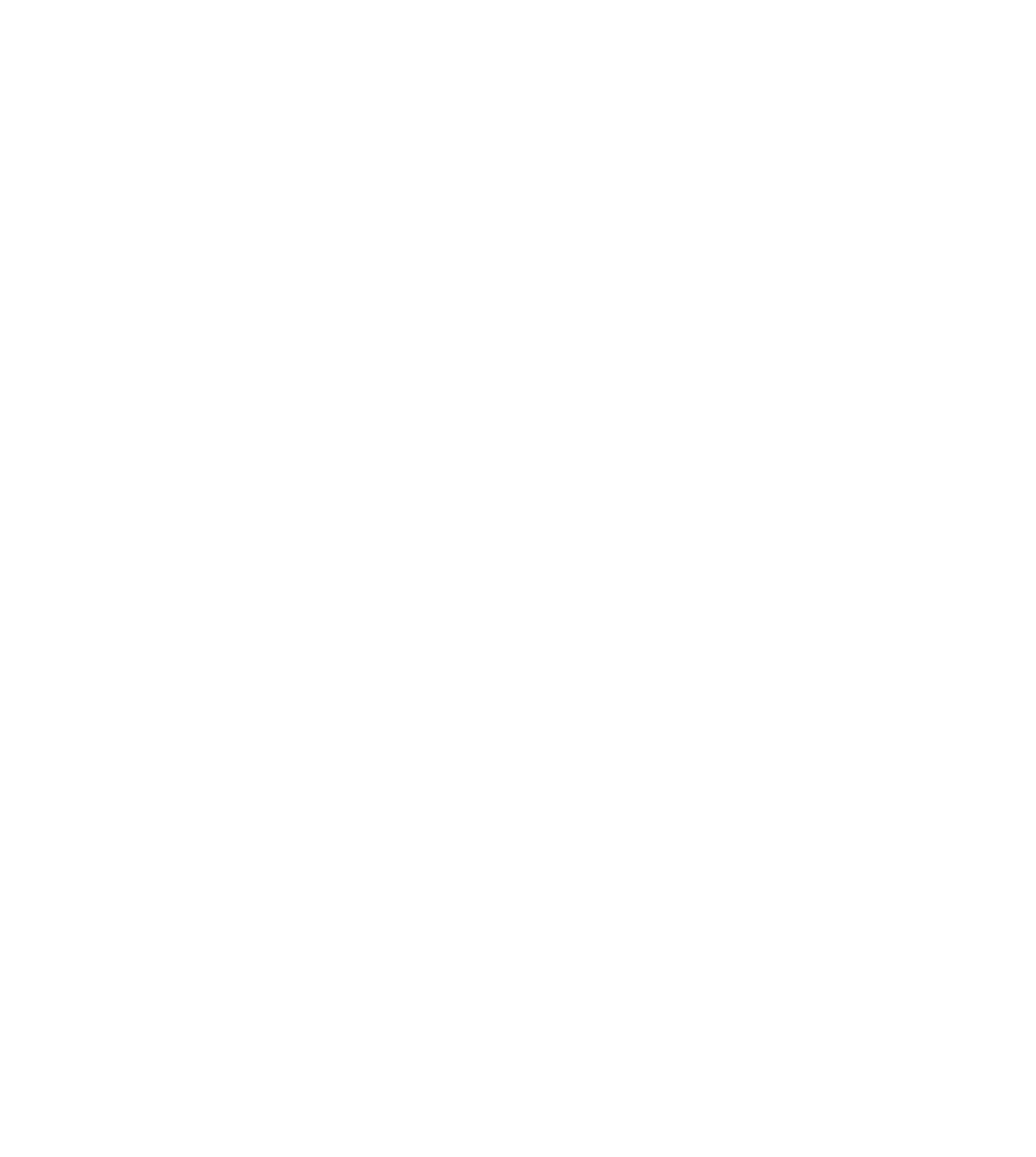 Consultoría de negocios SMS México Puebla Latinoamerica
